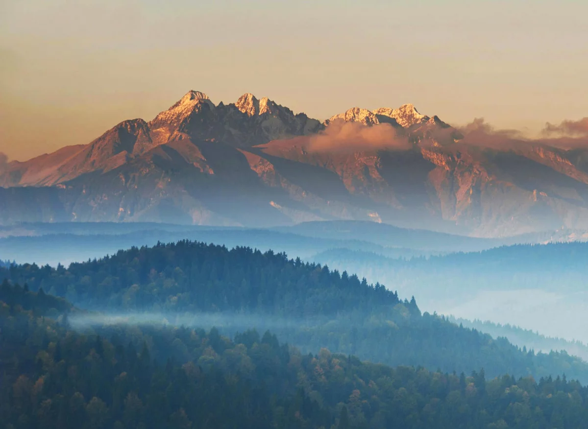 Krótki poradnik jak zdrowieć, który zmieni wszystko