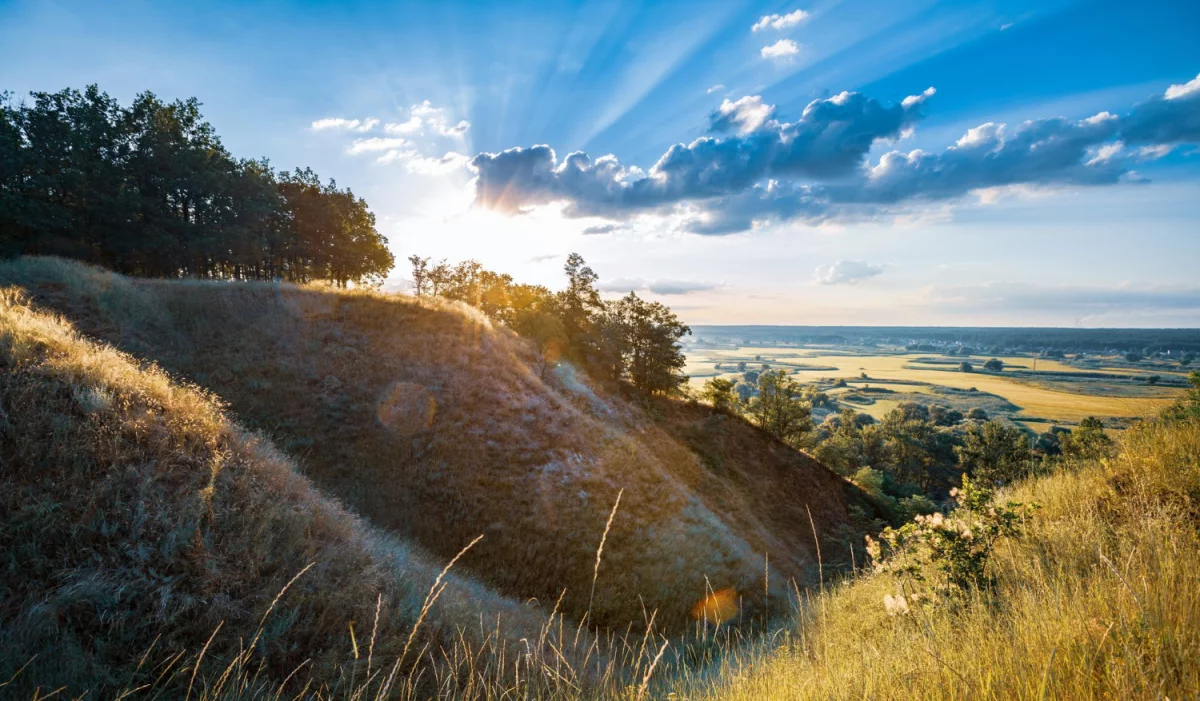 Ciekawe kto może budować dom?