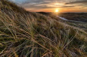 Oto Jak Szybko I Bezpieczenie zadbać o zdrowie