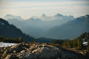 Dlaczego w 2023 warto  robić marketing?